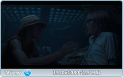 - (1 : 1-8   8) / One Piece / 2023 /  (HDrezka Studio, LostFilm),  / WEB-DLRip (720p)