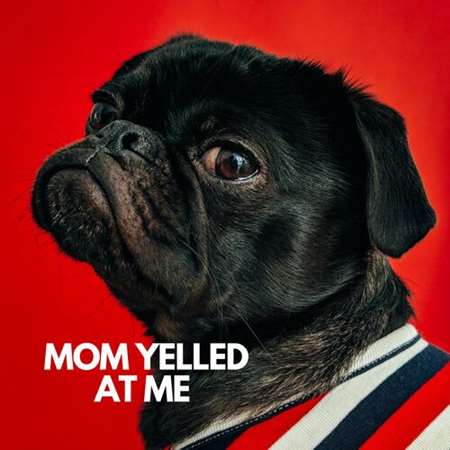 VA - Mom Yelled at Me (2023) MP3