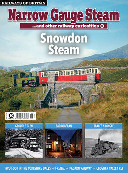 Narrow Guage Steam 12 (Railways of Britain Vol.49)