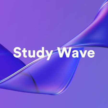 VA - Study Wave (2023) MP3