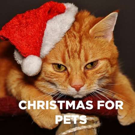 VA - Christmas For Pets | Have A Furry Christmas And A Happy New Year! (2023) MP3