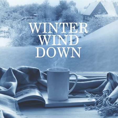 VA - Winter Wind Down (2023) MP3