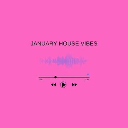 VA - January House Vibes (2023) MP3