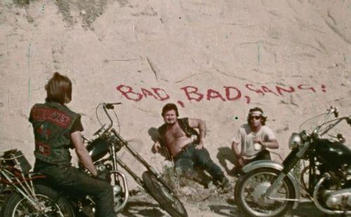 Bad, Bad, Gang / Очень плохая банда (Donn Greer - 2.07 GB