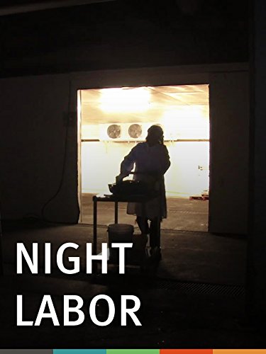 Night Labor 2013 WEBRip x264-ION10