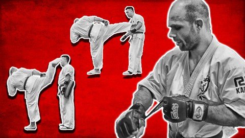 Zen Do Kai Japanese Karate Basics Punches, Kicks And Blocks