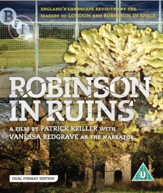 Robinson in Ruins 2010 WEBRip x264-ION10