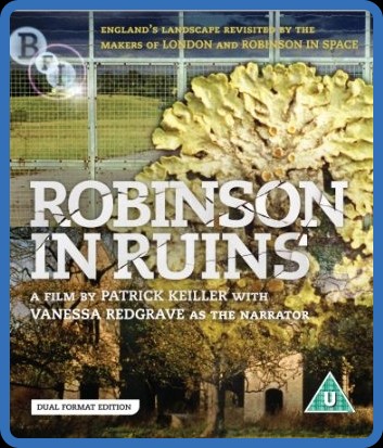 Robinson In Ruins (2010) 720p WEBRip x264 AAC-YTS