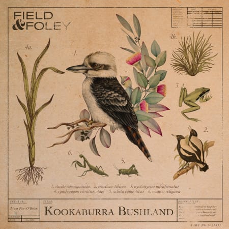 Field and Foley Kookaburra Bushland WAV