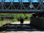 В Украине отстроили треть поврежденных оккупантами мостов