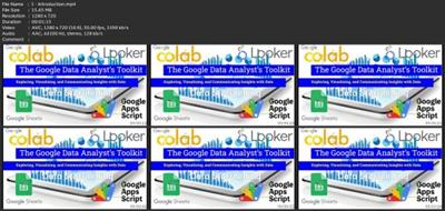 The Google Data Analyst'S Toolkit: Beginner'S Crash  Course 168a31003f3a77a883a435ad2006afa5