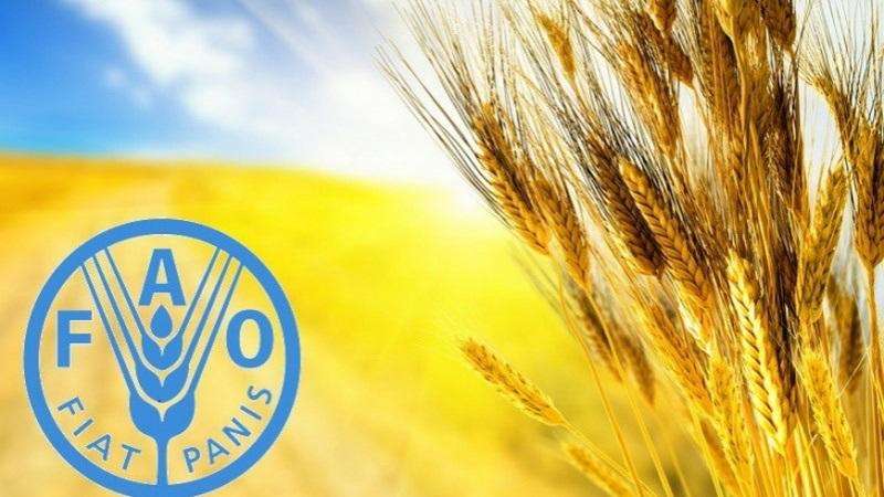 ФАО оцінила вплив війни на діяльність малих фермерів