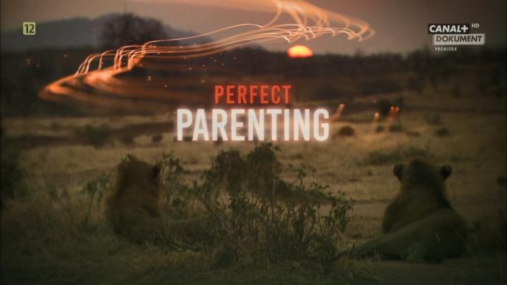 Świat zwierząt. Najlepsi rodzice / Perfect Parenting (2021) PL.1080i.HDTV.H264-B89 | POLSKI LEKTOR