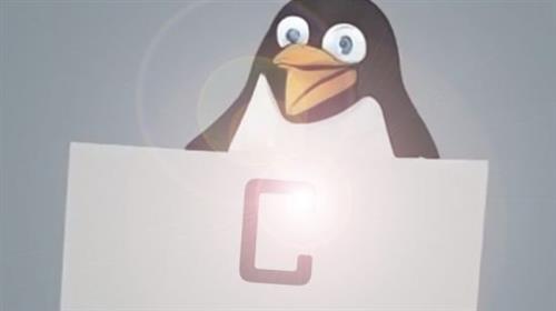The Beginner's guide to Advanced C coding in Linux