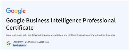 Coursera - Google Business Intelligence Professional Certificate