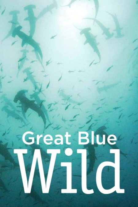 Great Blue Wild S02E08 2160p WEB H265-BUSSY