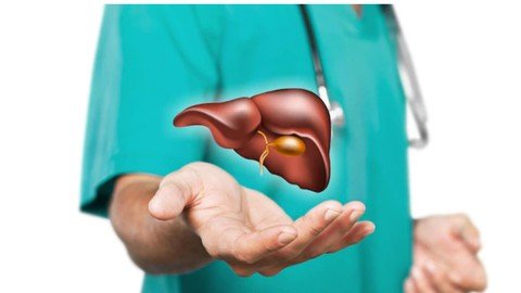 The Complete Liver Course - Anatomy, Physiology & Pathology