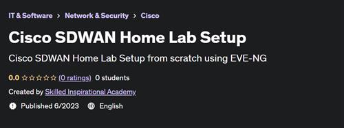 Cisco SDWAN Home Lab Setup