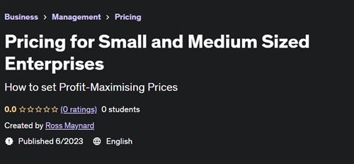 Pricing for Small and Medium Sized Enterprises