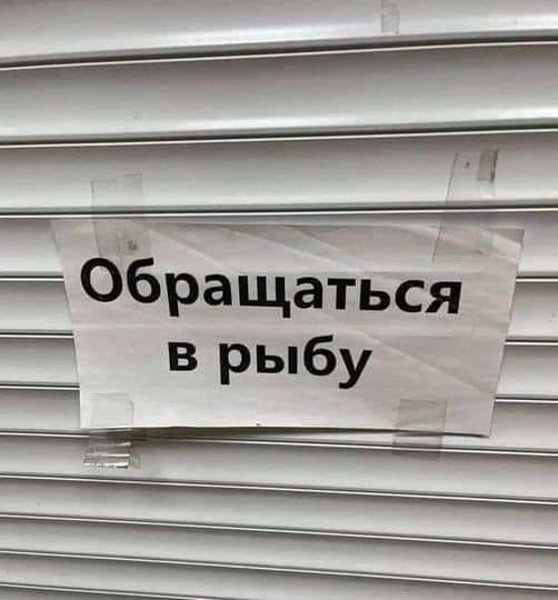 5783b335a2ced7a0c98648d060a56608.jpeg