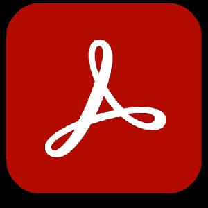 Adobe Acrobat Pro DC 2023.003.20201 Multilingual (x86)