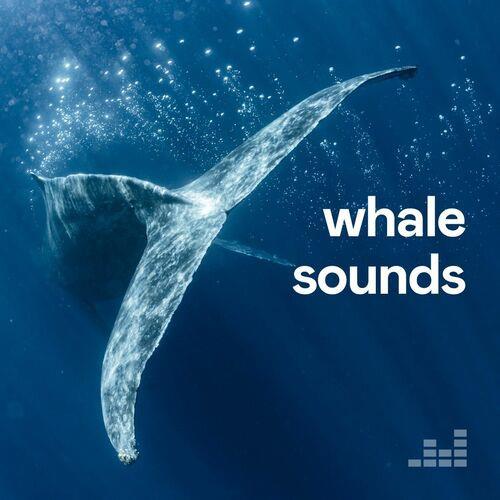 Whale Sounds (2023)