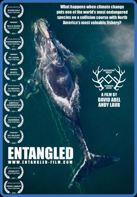 Entangled The Race To Save Right Whales From Extinction 2020 1080p WEBRip x264-RARBG