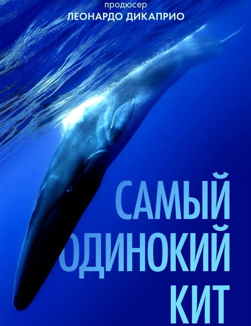    | The Loneliest Whale: The Search for 52 (2021/WEB-DL/720p/1080p)