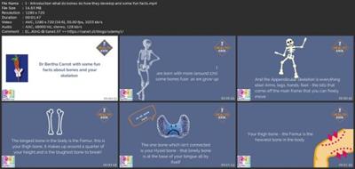 How Food Shapes Your Child - Building Strong  Bones 2dc2979a5e9206bd3ecaa0b4854339fa