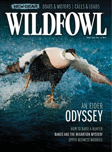 Wildfowl - June / July 2023