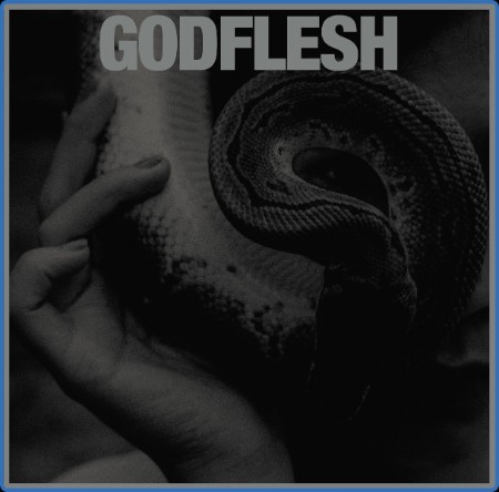 Godflesh - 2023 - Purge (24bit-44 1kHz)