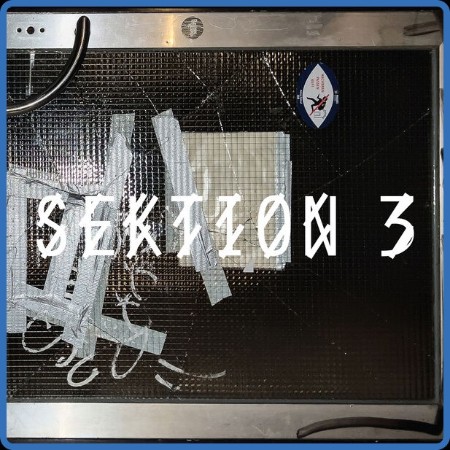 Sektion 3 (2023)