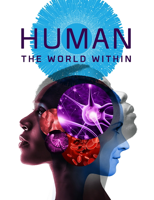  :   | Human: The World Within (1 /2021/WEB-DL/720p/1080p)