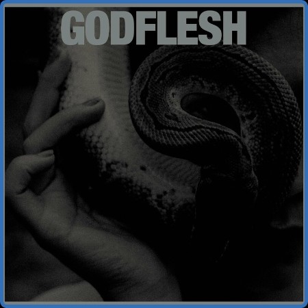 Godflesh - 2023 - Purge