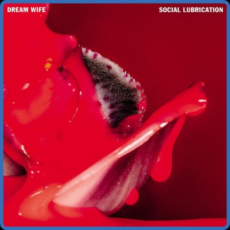 Dream Wife - Social Lubrication (2023)