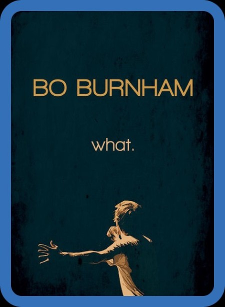 Bo Burnham what 2013 1080p WEBRip x264-RARBG