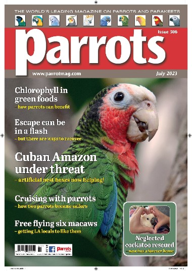 Parrots - July / 2023