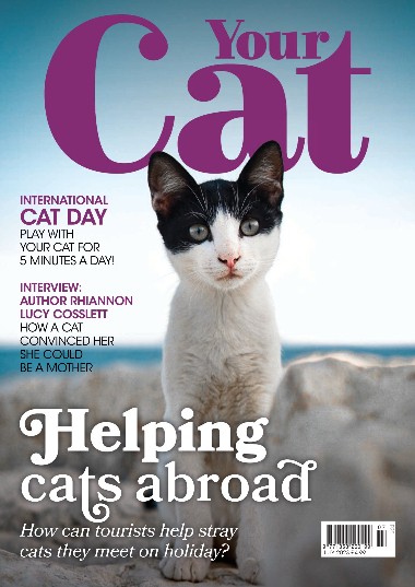 Your Cat - July / 2023