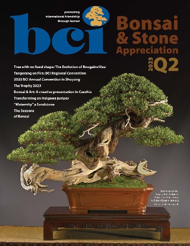 BCI Bonsai & Stone Appreciation - April / May / June 2023