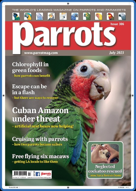 Parrots – July 2023