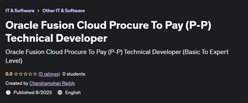 Oracle Fusion Cloud Procure To Pay (P-P) Technical Developer