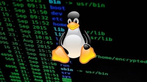 Escalada de Privilegios en Linux –  Hacking Ético |  Download Free