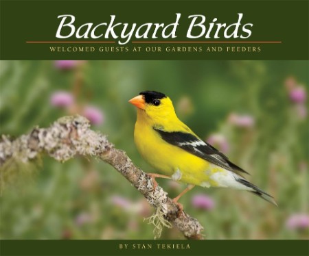 Backyard Birds: Welcomed Guests at Our Gardens and Feeders (Wildlife Appreciation)