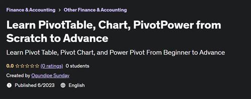 Learn PivotTable, Chart, PivotPower from Scratch to Advance