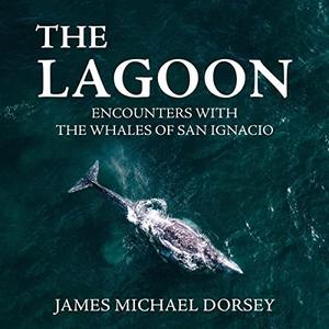 The Lagoon Encounters with the Whales of San Ignacio [Audiobook]