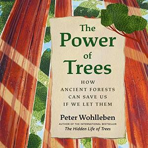 The Power of Trees How Ancient Forests Can Save Us if We Let Them [Audiobook]