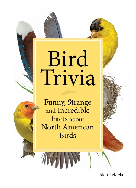 Bird Trivia: Funny, Strange and Incredible Facts about North American Birds