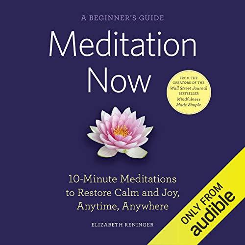 Meditation Now A Beginner's Guide [Audiobook] 