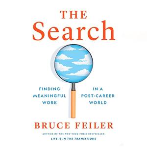 The Search Finding Meaningful Work in a Post-Career World [Audiobook]