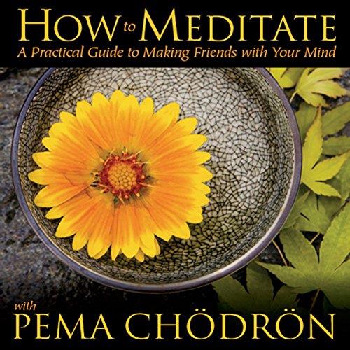 How to Meditate with Pema Chodron [Audiobook]